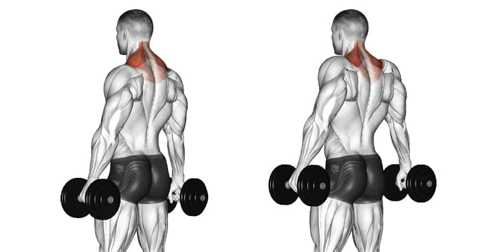 Dumbbell store trap workout