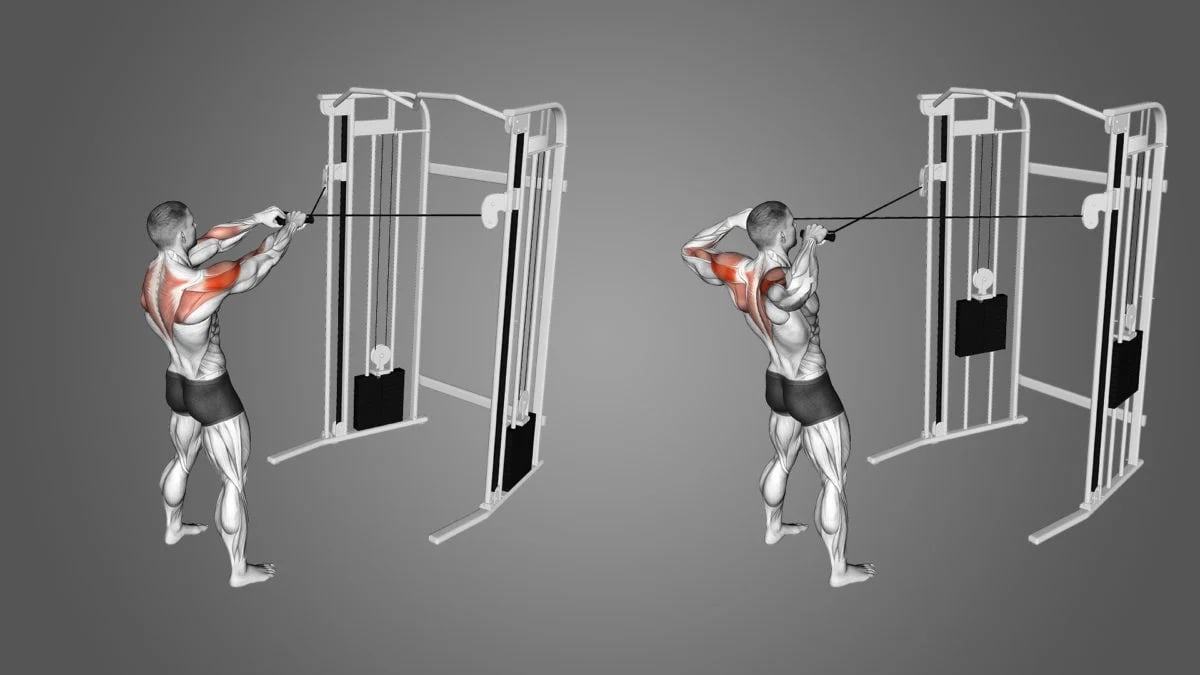Trap Exercises at Home: What are the best exercises for traps?