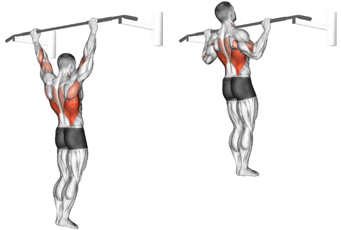 The 12 Best Lat Exercises for Strength and Muscle Growth