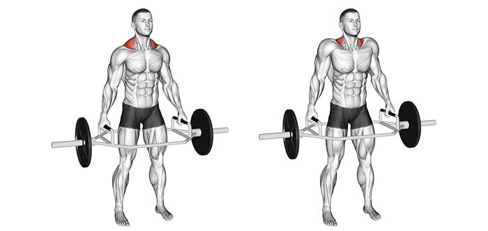 10 Best Trap Exercises for Building Better Trap Muscles