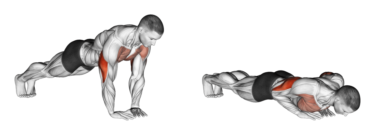tricep exercises for men