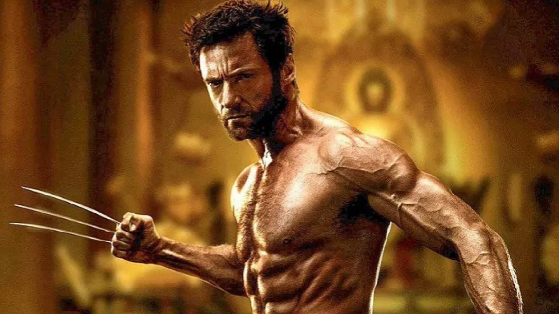 Hugh jackman outlet wolverine workout