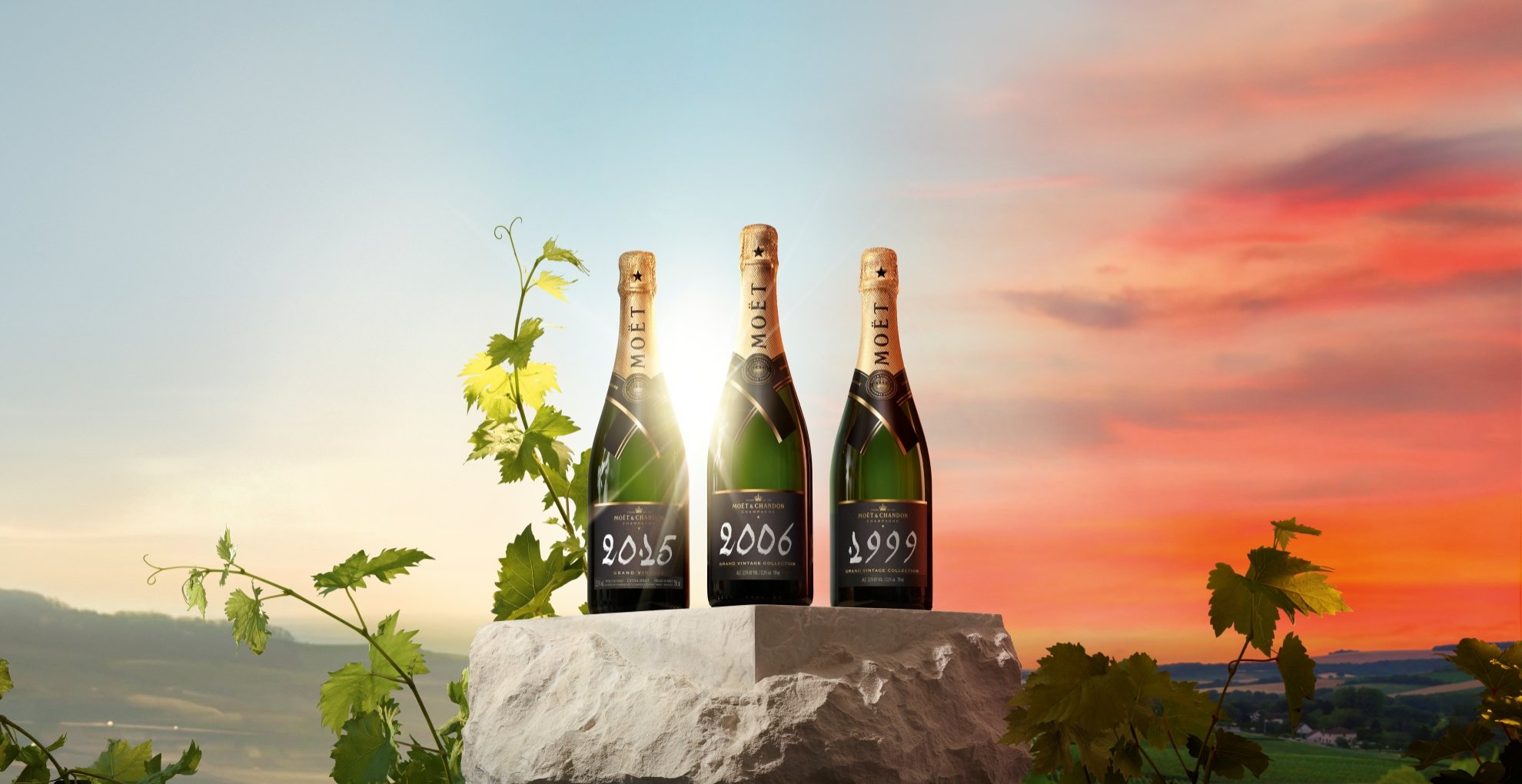 LVMH Reveals Chandon Rebrand To Celebrate The Sparkling Wine's Global  Network