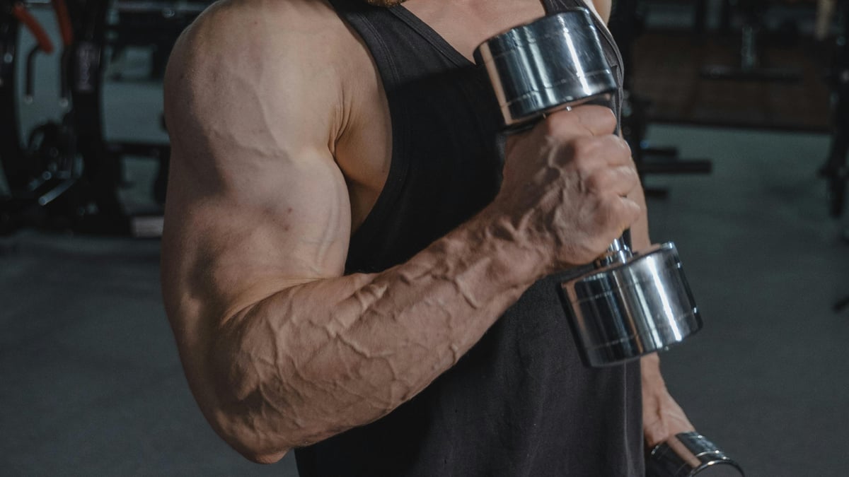 Best Forearm Exercises