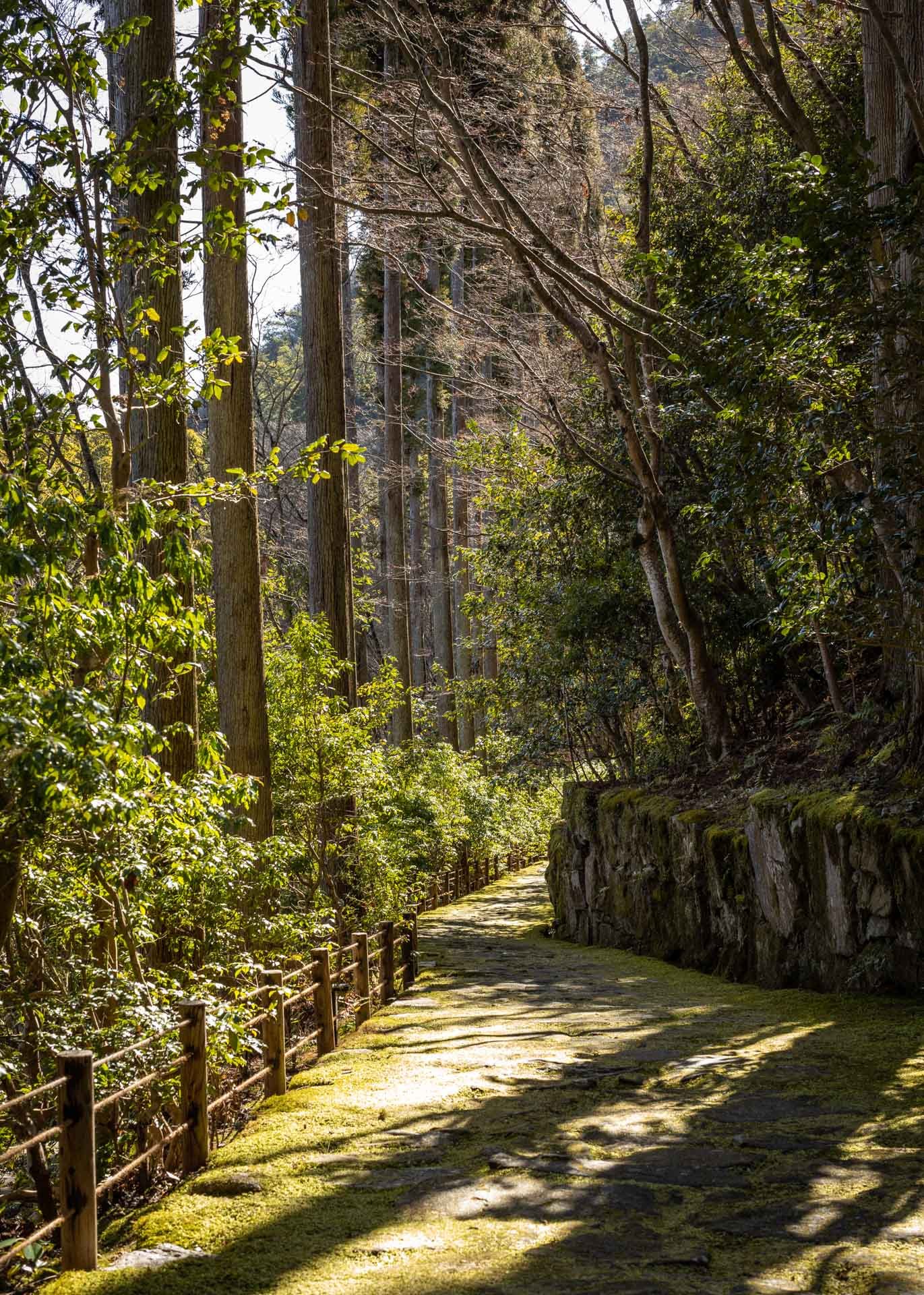 Walking through the garden at Aman Kyoto. 
