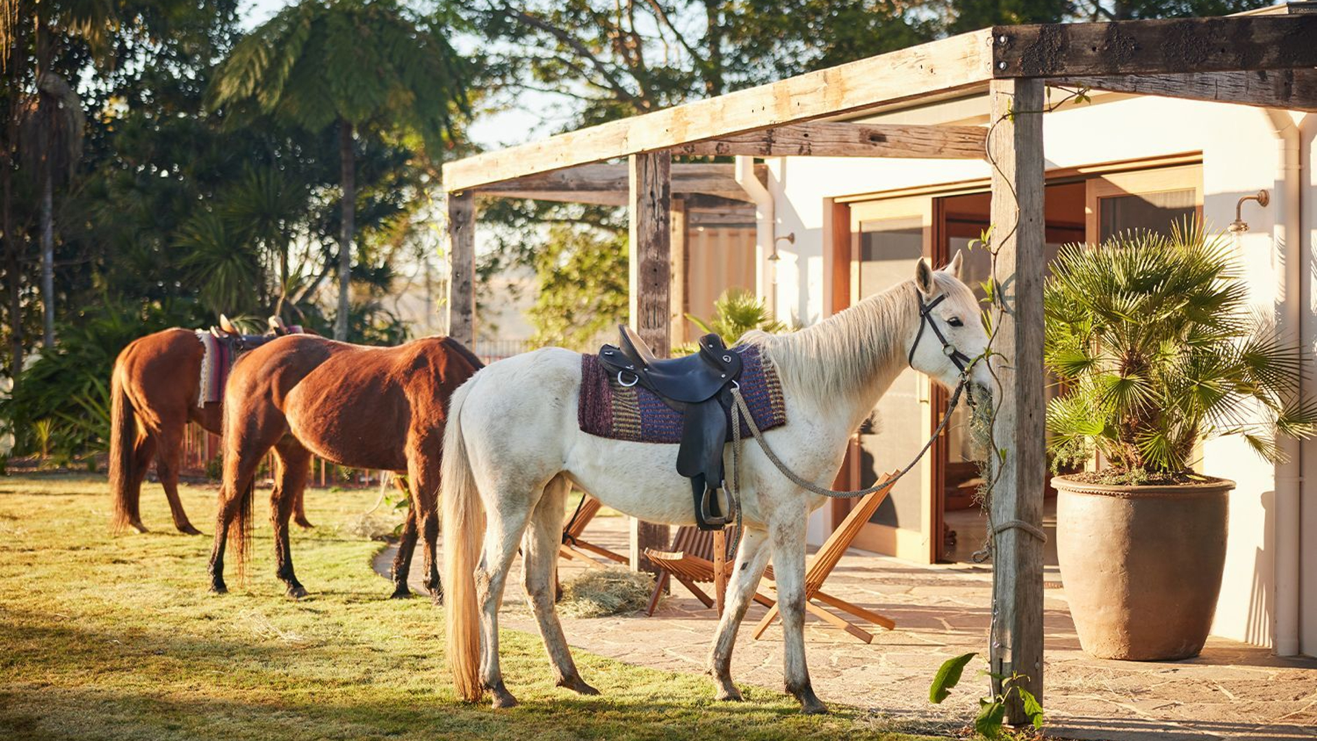 We Lived Every Concrete Cowboy’s Dream With Yellowstone Bourbon