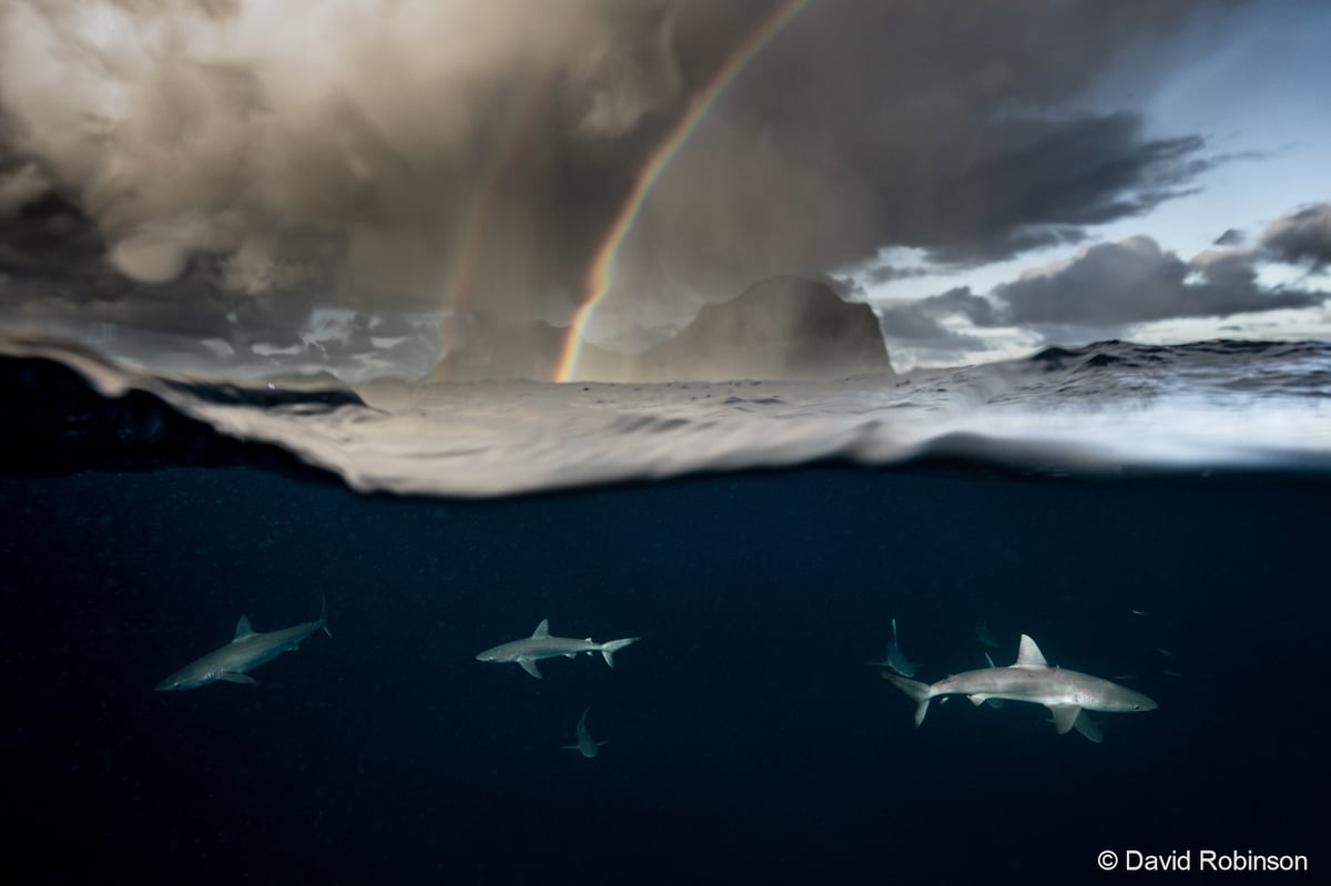 Australian Geographic Nature Photographer of the Year