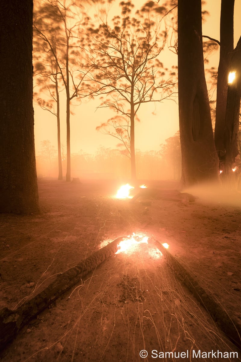 Australian Geographic Nature Photographer of the Year