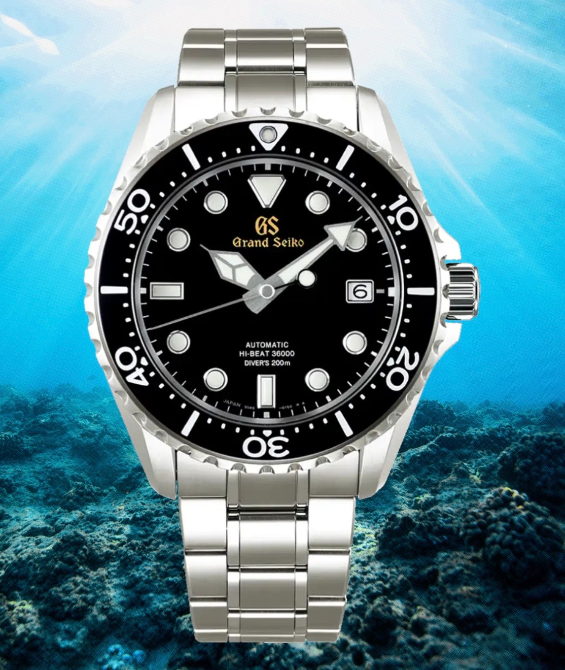 Best Dive Watches