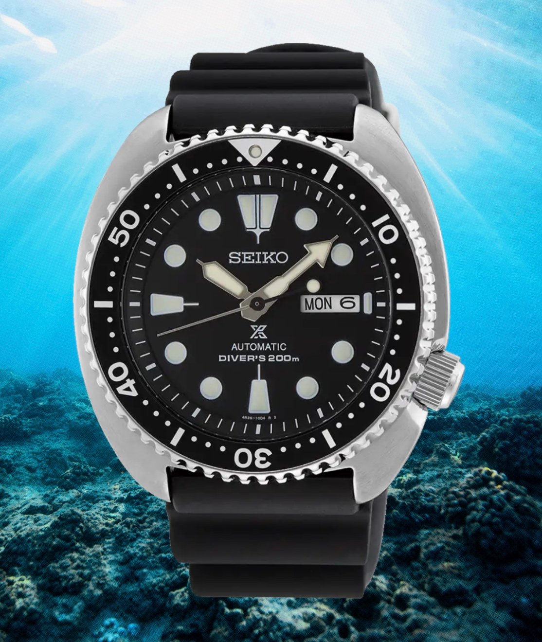 Best Dive Watches