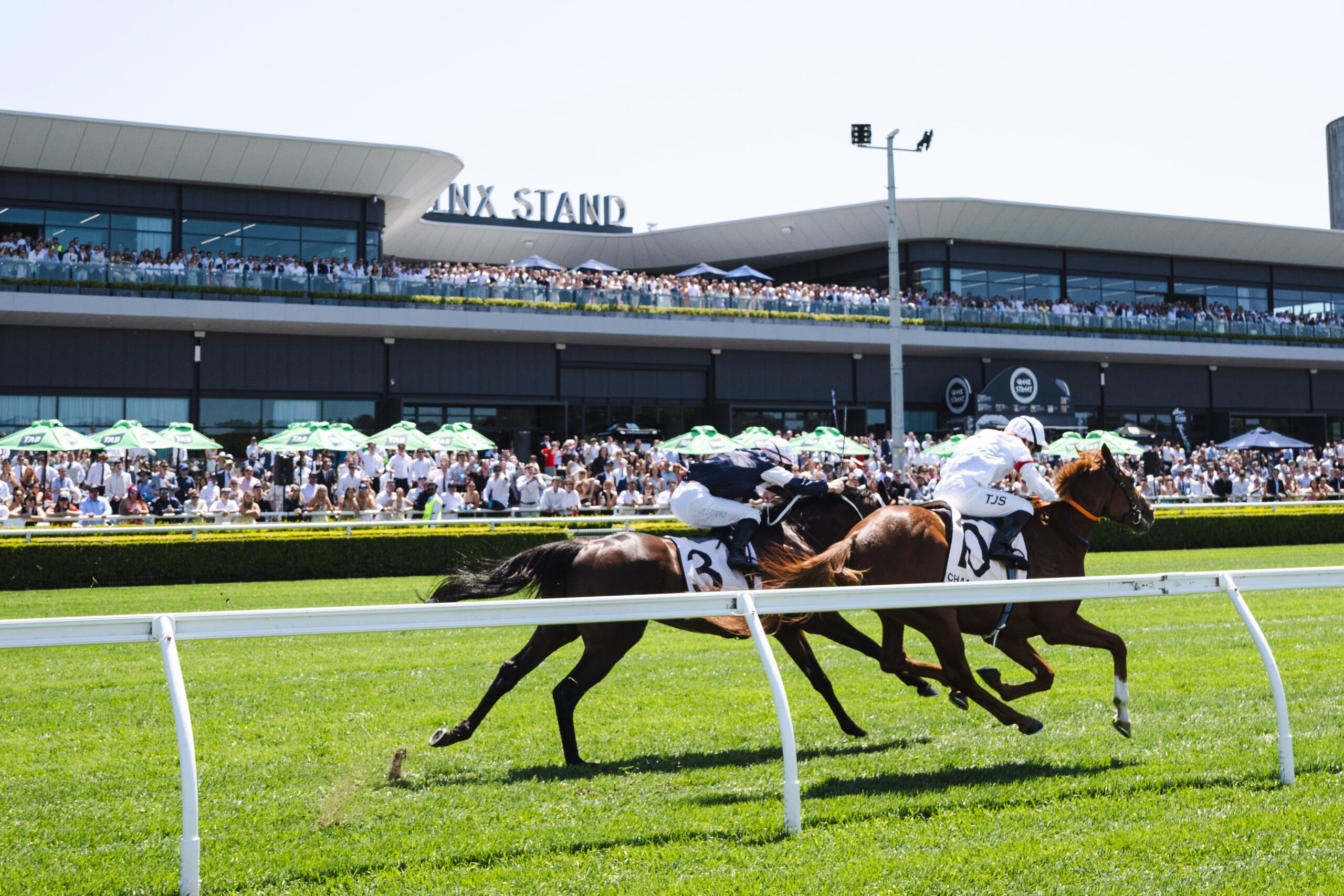 Randwick’s Peacock Lounge Brings Day Club Energy To This Spring Carnival