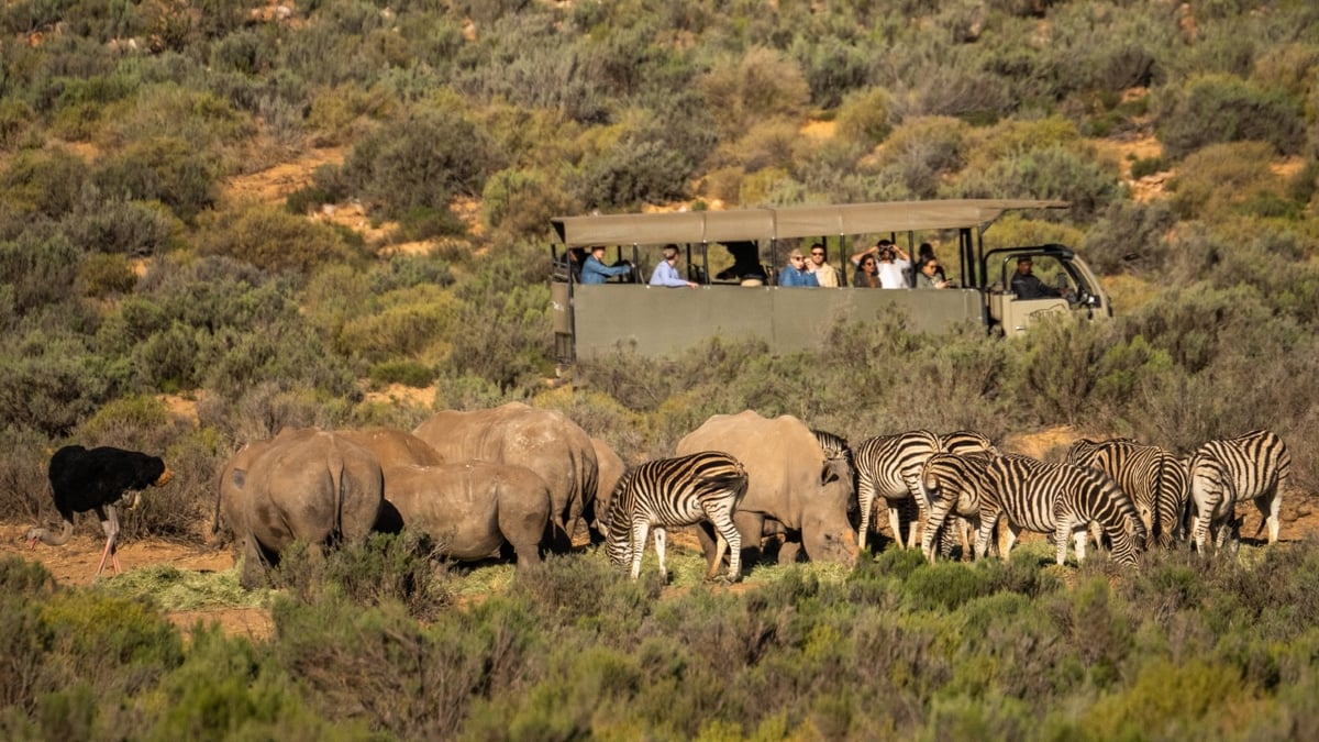 Uber Safari - Game Drive