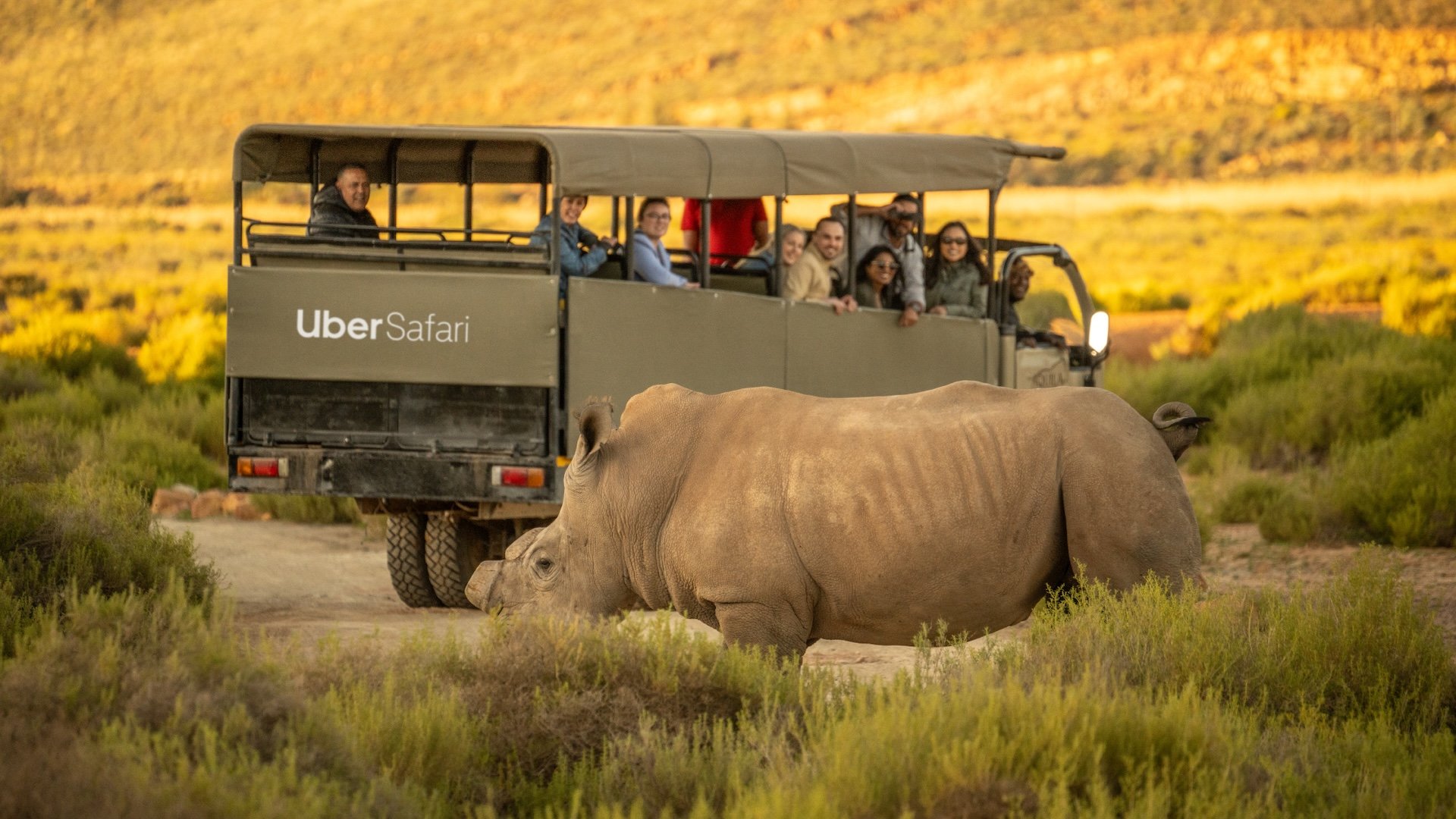 Uber Safari Literally Lets You Take A Trip On The Wild Side