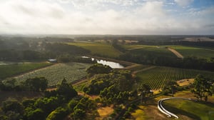 best wineries Margaret River