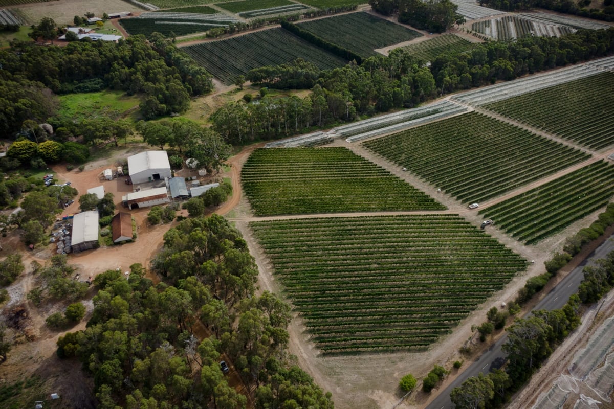 best wineries Margaret River