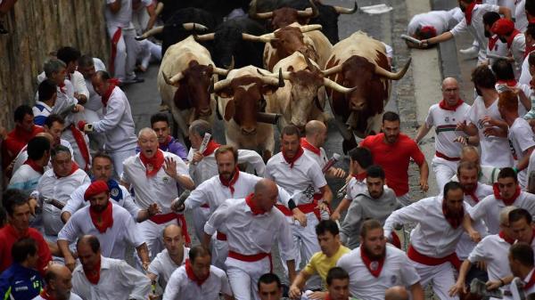 Running With The Bulls In Pamplona What You Need To Know
