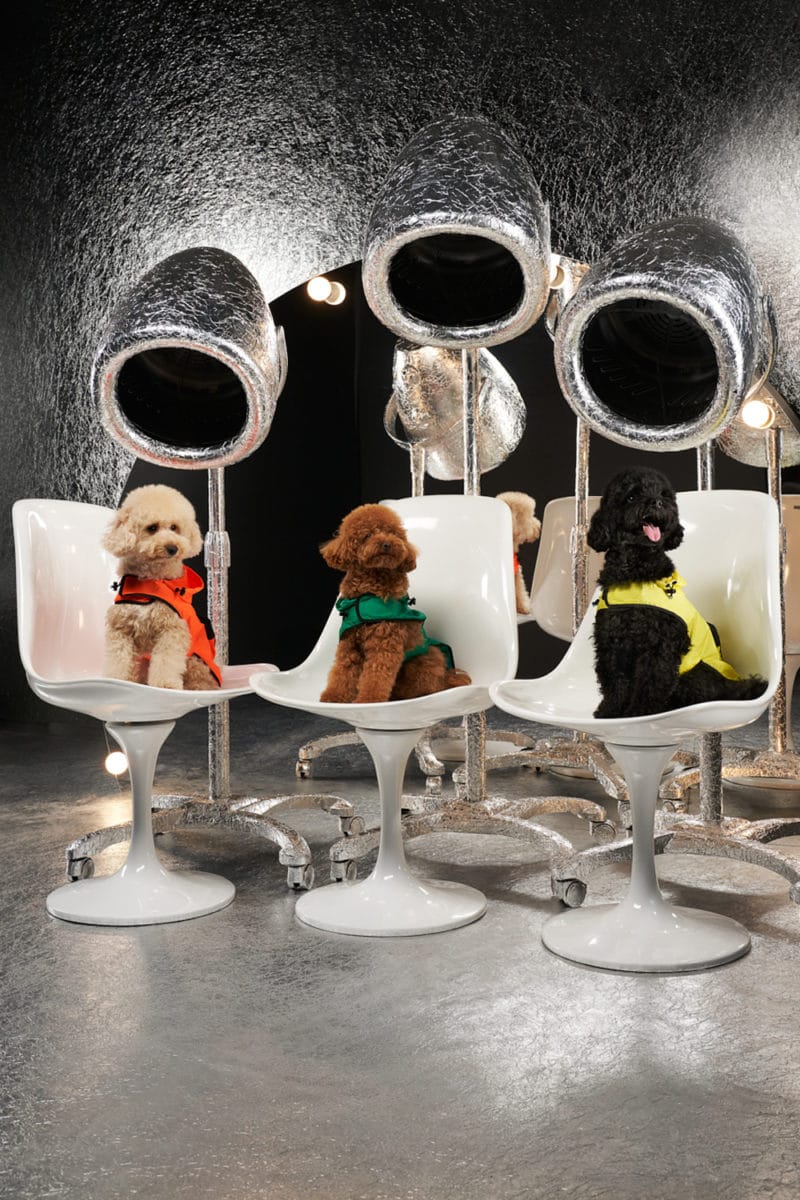 Moncler Dog Couture