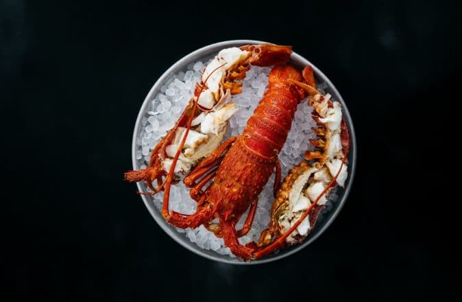 Australian Lobster Prices At All Time Lows Due To China Trade Tensions