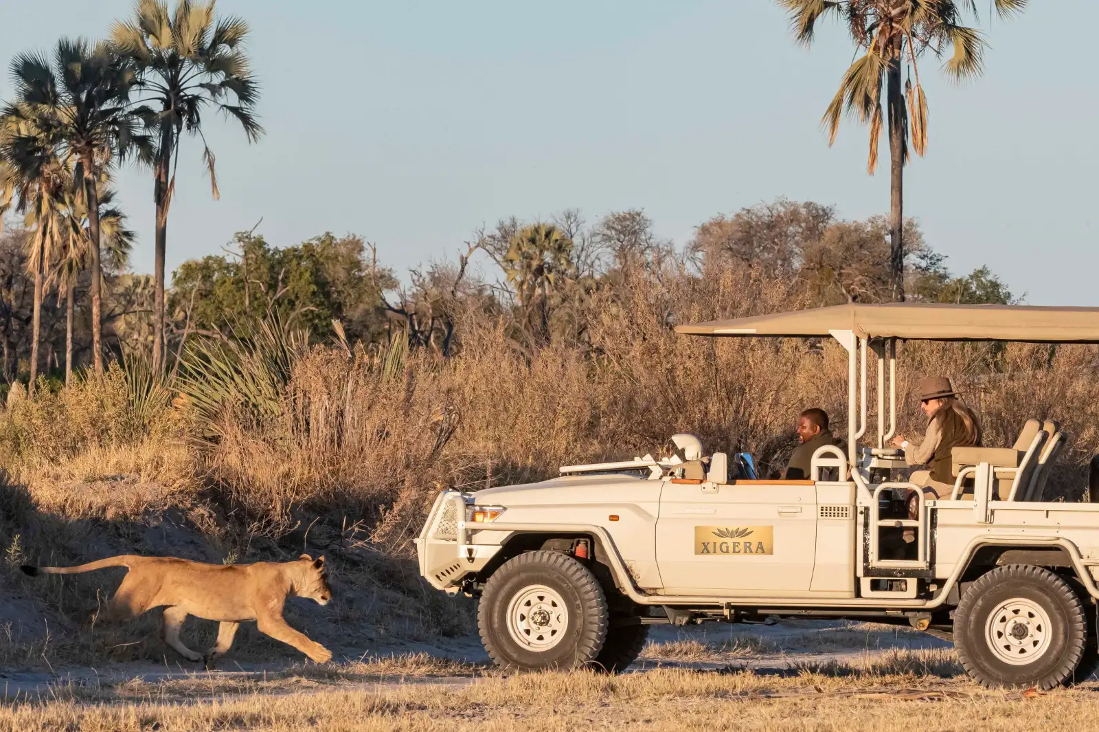 Xigera Safari Lodge botswana