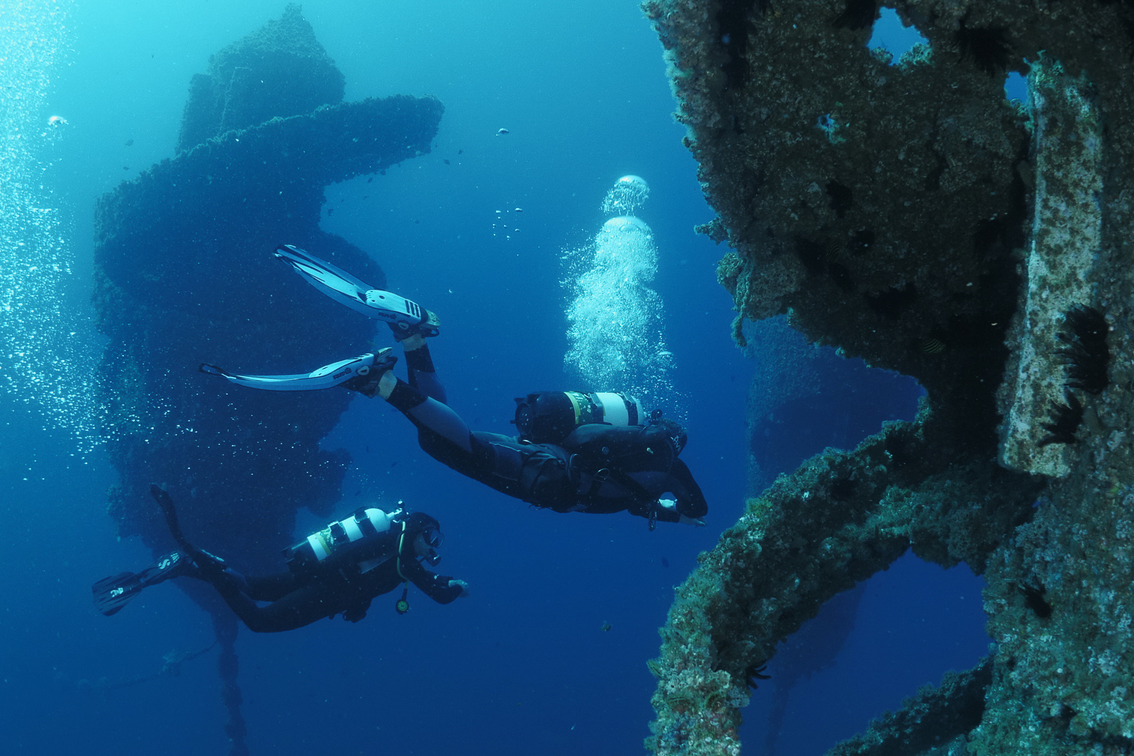 Wonder Reef