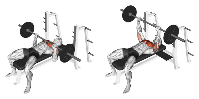 16 Best Chest Exercises And Workouts For Men Boss Hunting