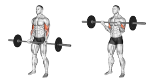 The 15 Best Bicep Exercises & Workouts For Men | Boss Hunting