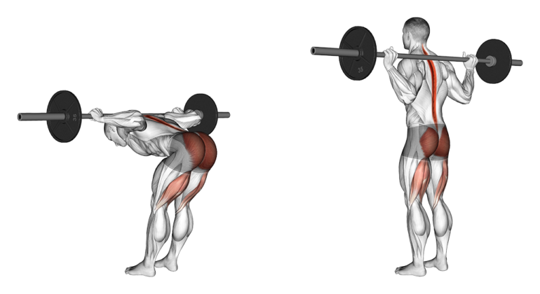 15-best-exercises-for-the-perfect-leg-workout-boss-hunting