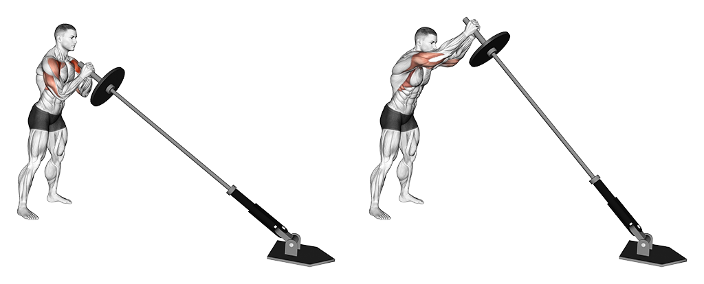 Landmine Press