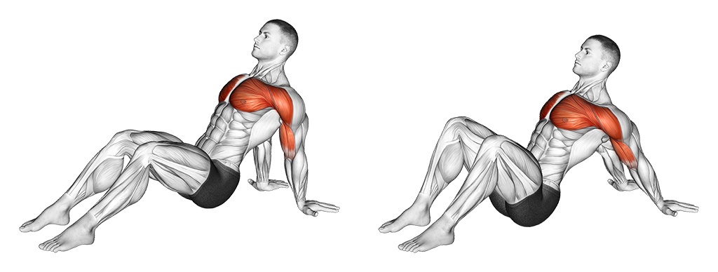 Seated Shoulder Extension Stretch (Cool Down)
