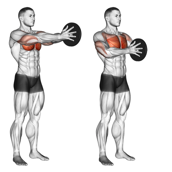 16 Best Chest Exercises & Workouts For Men | Boss Hunting