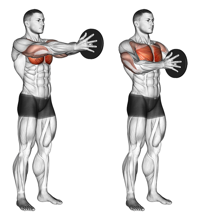 An illustrated chart of the best chest exercises  Chest workout, Best  chest workout, Chest and tricep workout