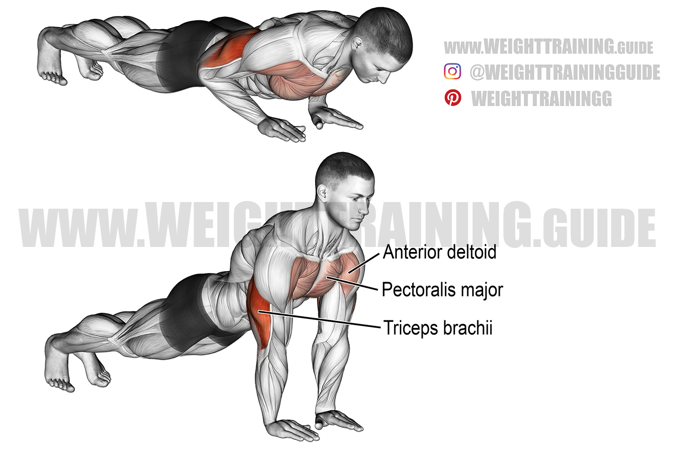 11 Best Tricep Exercises & Workouts For Men