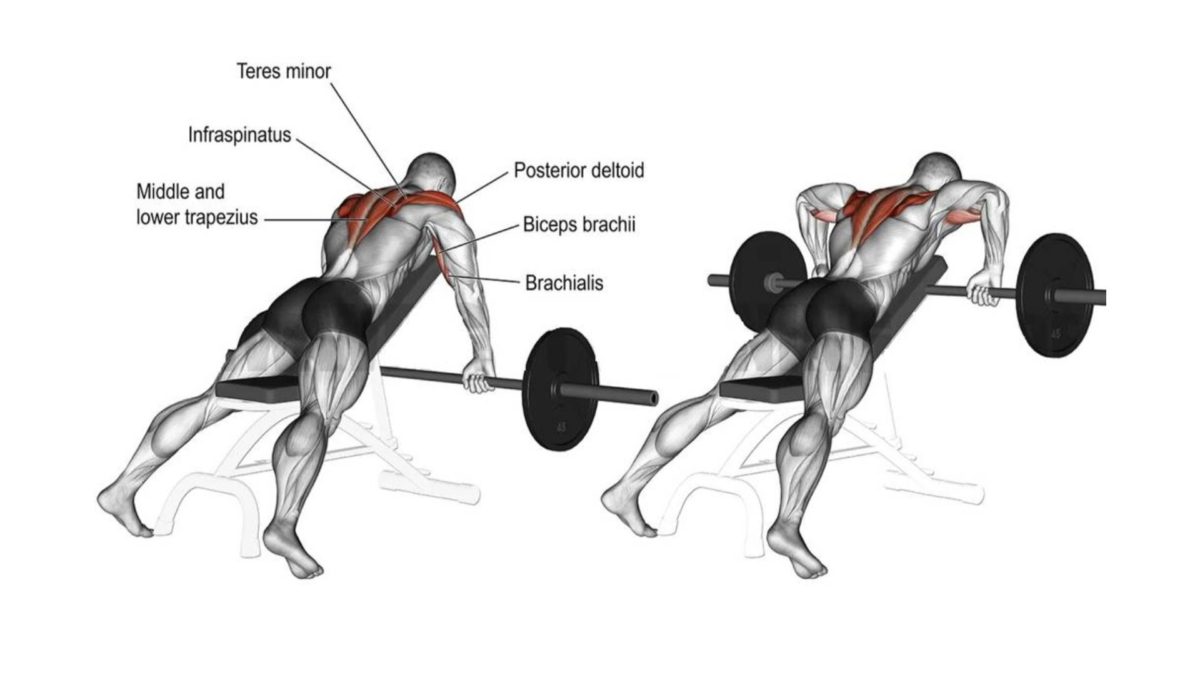 21 Best Rear Delt Exercises For Boulder Shoulders