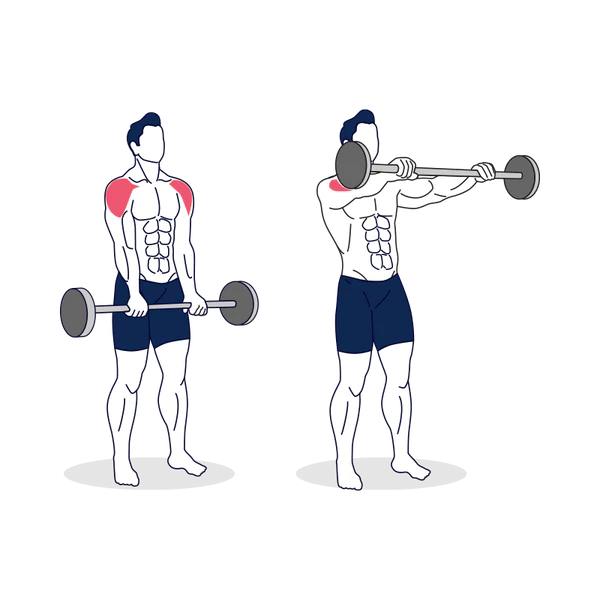 The 15 Best Bicep Exercises & Workouts For Men