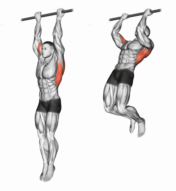 9 Of The Best Lat Exercises For When Size Is The Prize