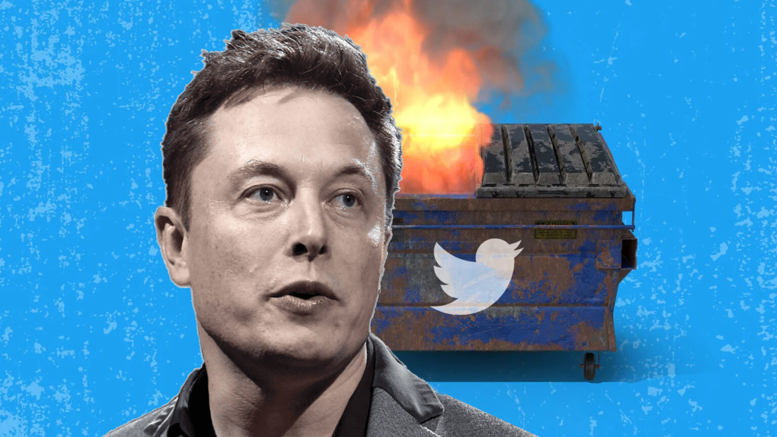 Elon Musk S Tenure As The Custodian Of Twitter Has Been The Complete